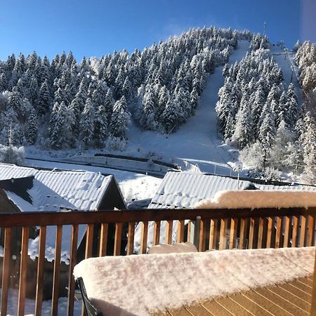 Appartement Aux Pieds Des Pistes De Ski Laveissière Dış mekan fotoğraf