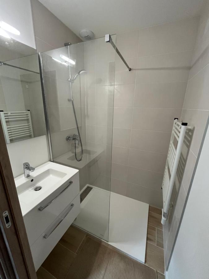 Appartement Aux Pieds Des Pistes De Ski Laveissière Dış mekan fotoğraf