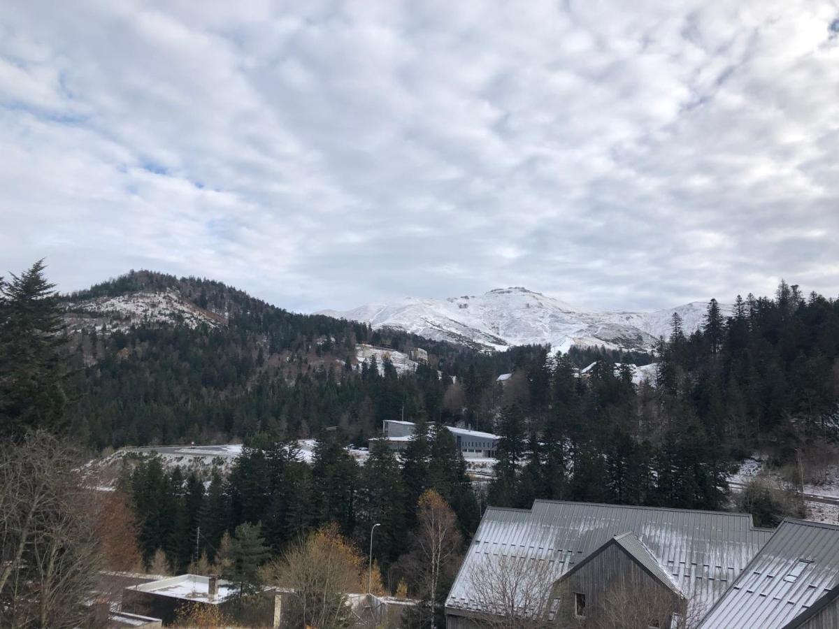 Appartement Aux Pieds Des Pistes De Ski Laveissière Dış mekan fotoğraf