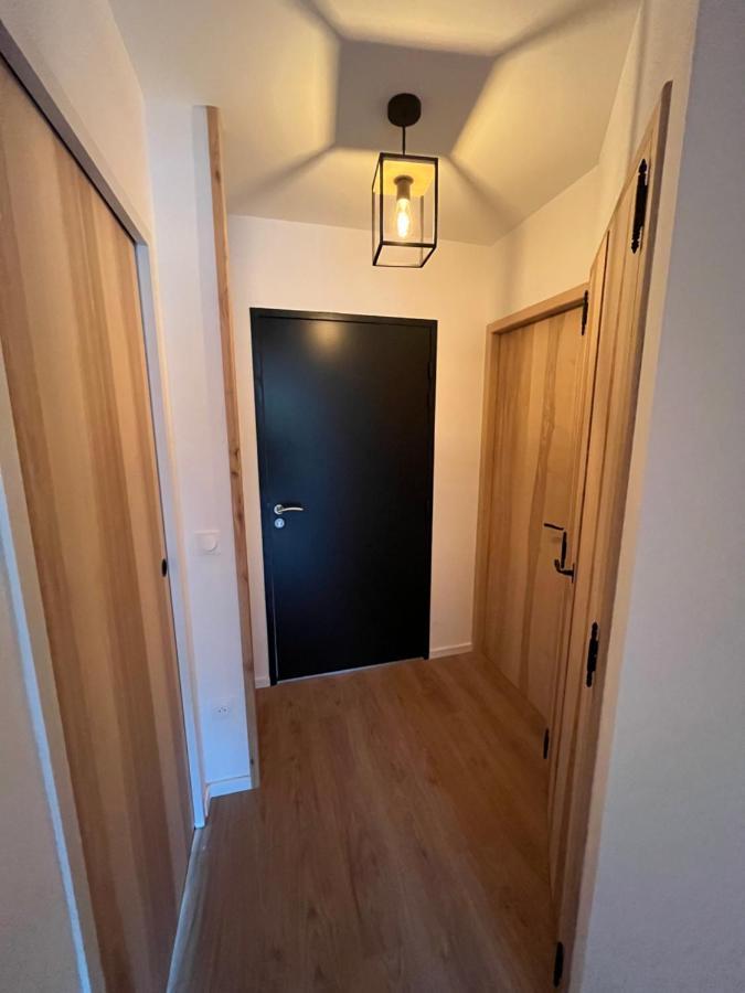 Appartement Aux Pieds Des Pistes De Ski Laveissière Dış mekan fotoğraf