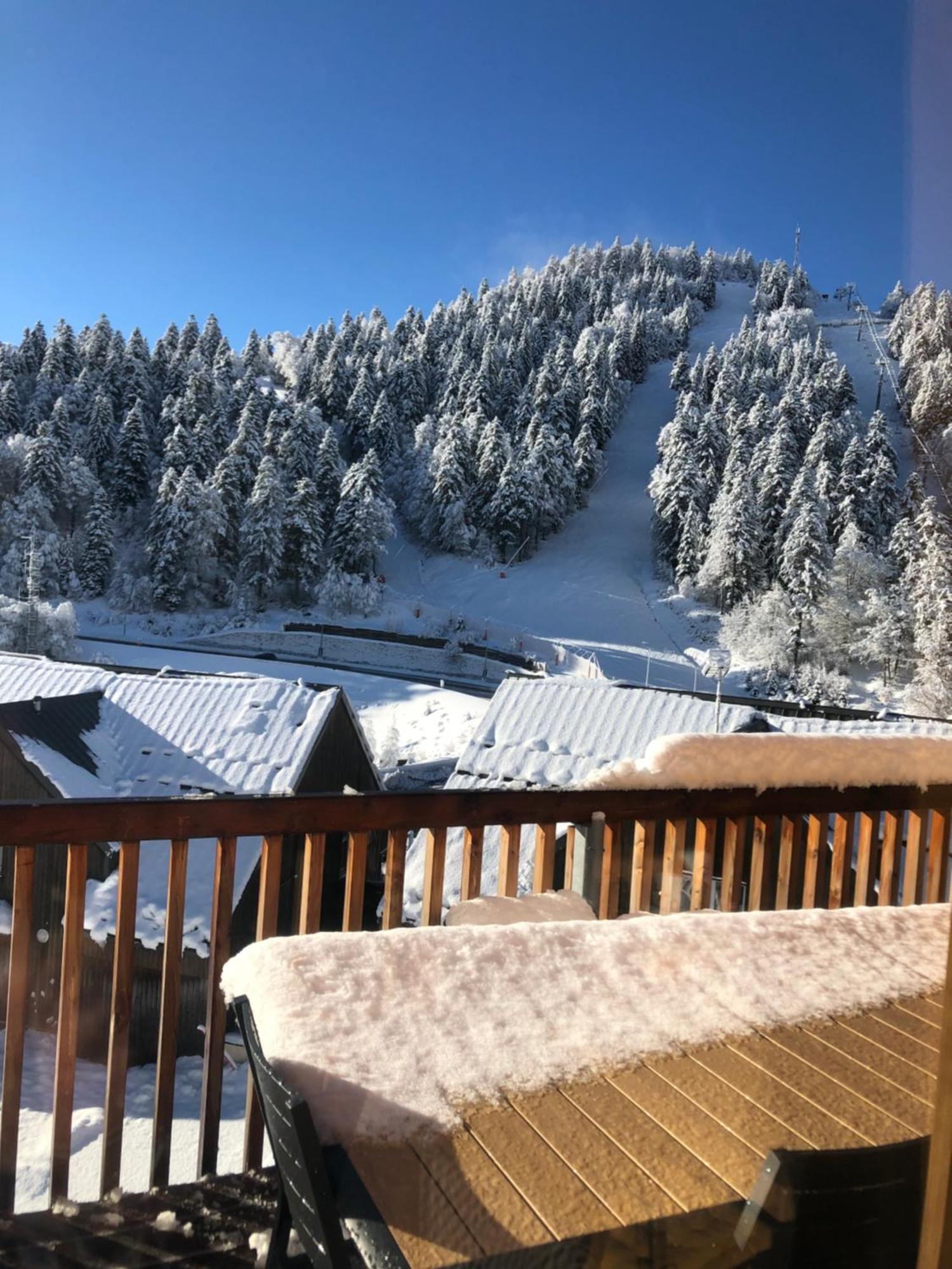 Appartement Aux Pieds Des Pistes De Ski Laveissière Dış mekan fotoğraf