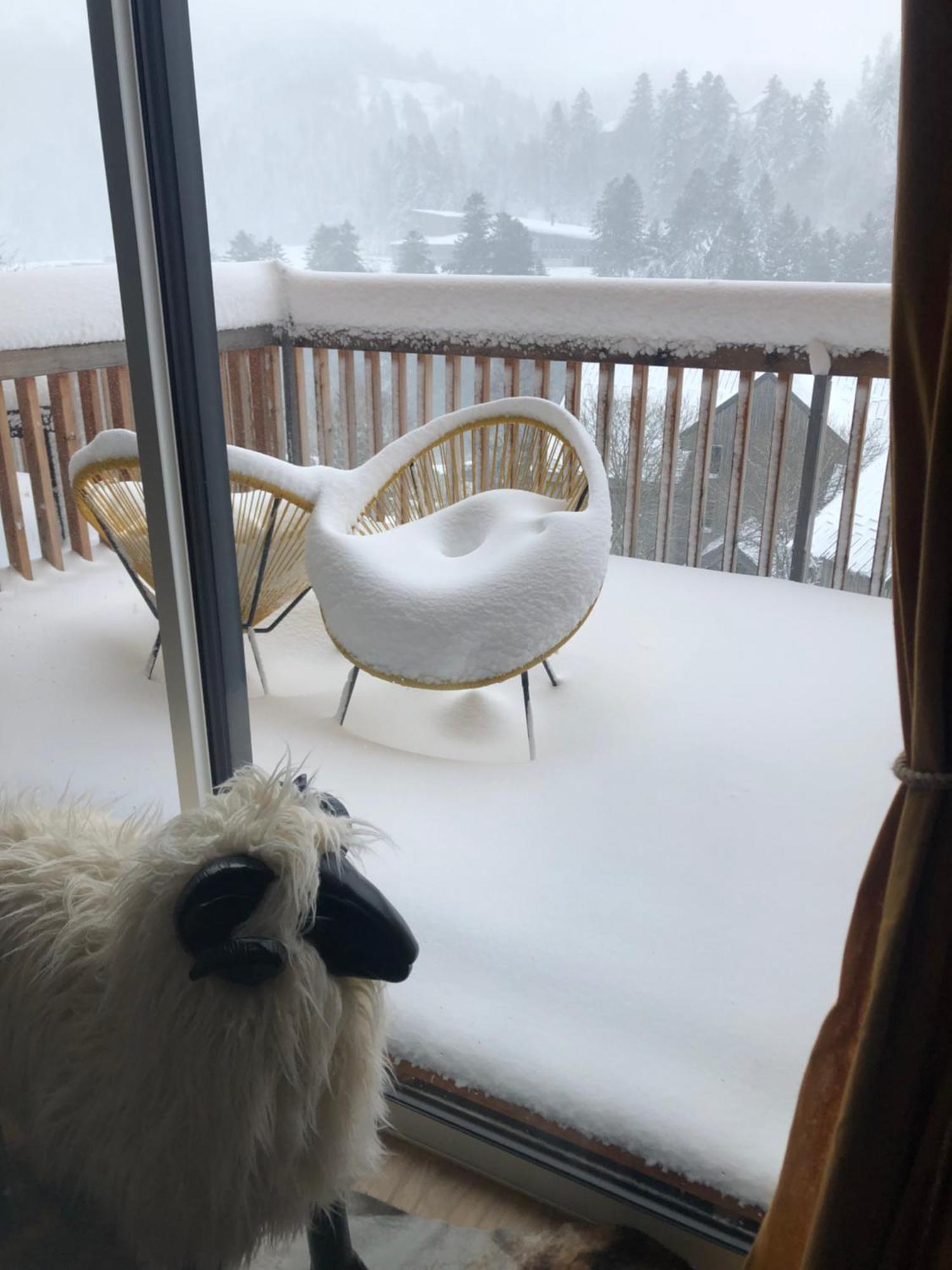 Appartement Aux Pieds Des Pistes De Ski Laveissière Dış mekan fotoğraf